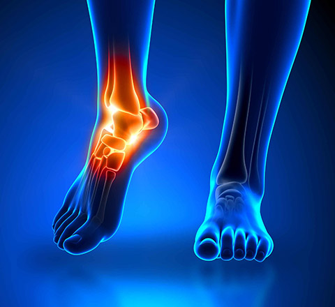 Podiatrist vs. Orthopedist